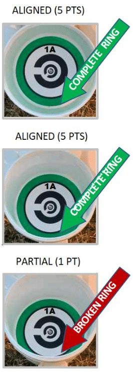 Example description